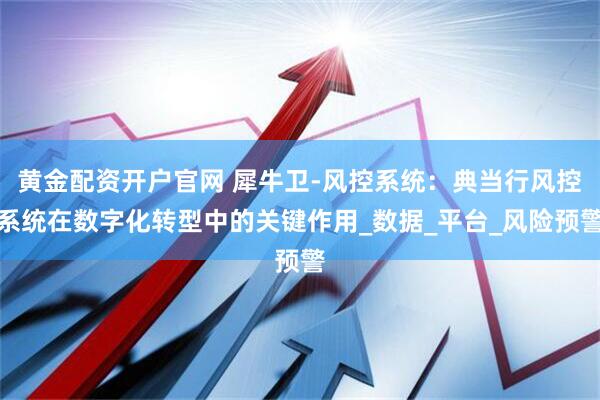 黄金配资开户官网 犀牛卫-风控系统：典当行风控系统在数字化转型中的关键作用_数据_平台_风险预警