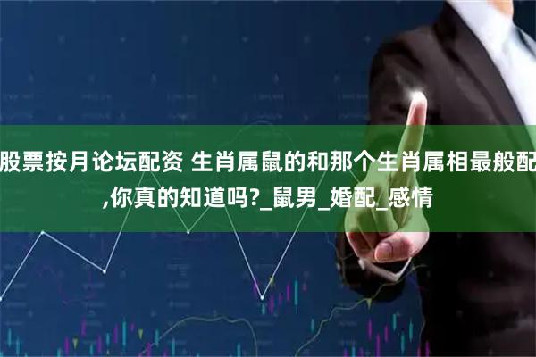 股票按月论坛配资 生肖属鼠的和那个生肖属相最般配,你真的知道吗?_鼠男_婚配_感情